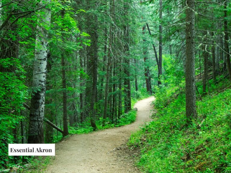 Best Parks and Nature Trails in Akron